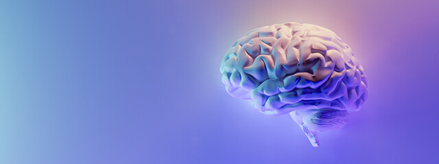 brain2