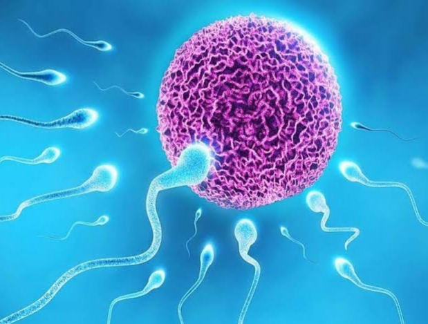 Image Infertility