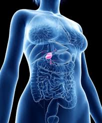 Image Symptoms of Gallbladder Problems After Gastric Sleeve Surgery