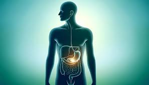 Image Life After Gallbladder Removal What to Expect and How to Adjust